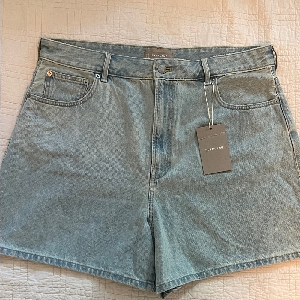 Everlane the A line denim Shorts